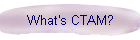 What's CTAM?