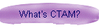 What's CTAM?